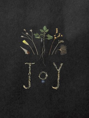 cover image of Joy